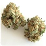 Шишки "White Widow" (Белая вдова) Гидропоника - Бошка VHQ в Энгельсе Шишки "White Widow" (Белая вдова) Гидропоника - Бошка VHQ в Энгельсе