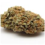 Шишки AK47 (Гидропоника, Бошка) VHQ в Энгельсе Шишки AK47 (Гидропоника, Бошка) VHQ в Энгельсе